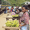 Circuit � Madagascar : Circuit "Terres Malgaches"