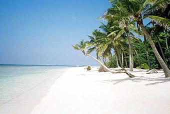 voyage maldives