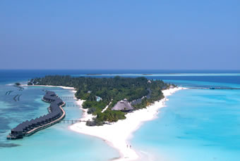 plonge maldives